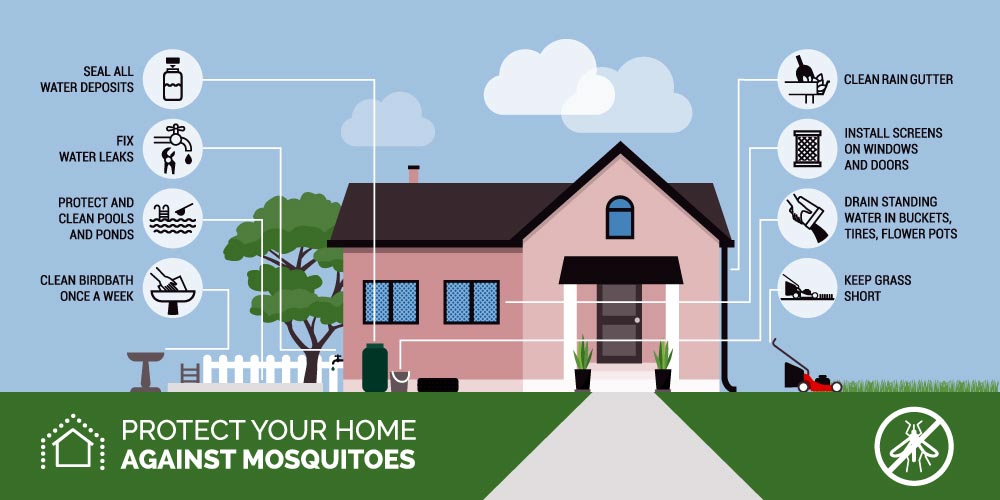 Protect-Home-from-Mosquitoes Protect Your Home Against Mosquitoes