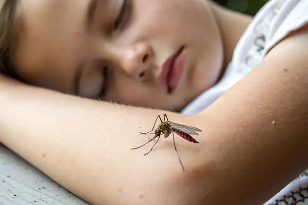 Mosquito on child before mosquito control in Charlotte, NC by Cardinal Environmental Solutions